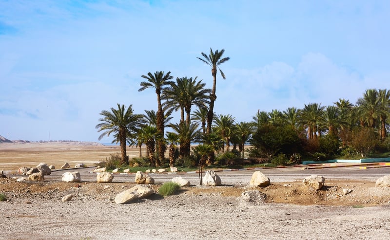 Mythical Oasis